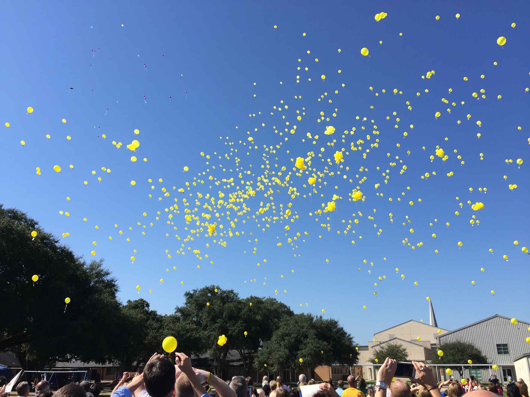 Help us invest and improve the lives of kids impacted by cancer. image