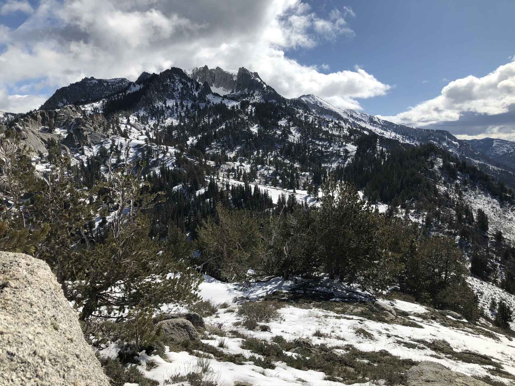 Support earth stewardship in your community and around the world.  image