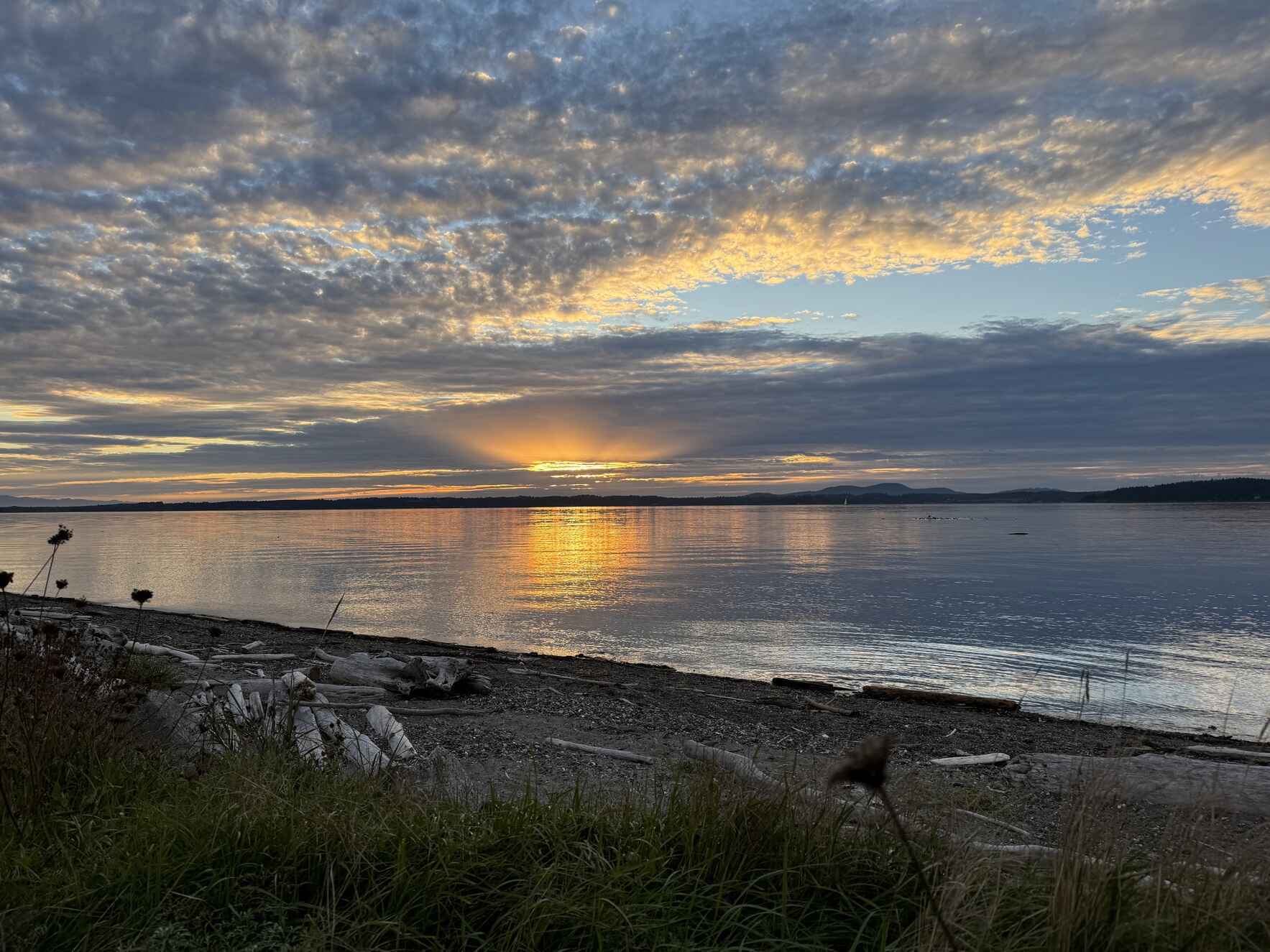 We can increase our environmental education resources and provide support to local chapters.  image