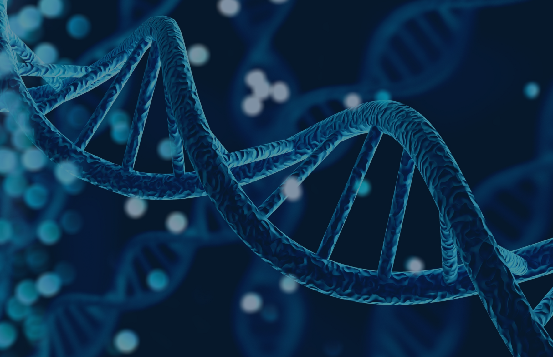 Change the world ONE STEP AT A TIME! image