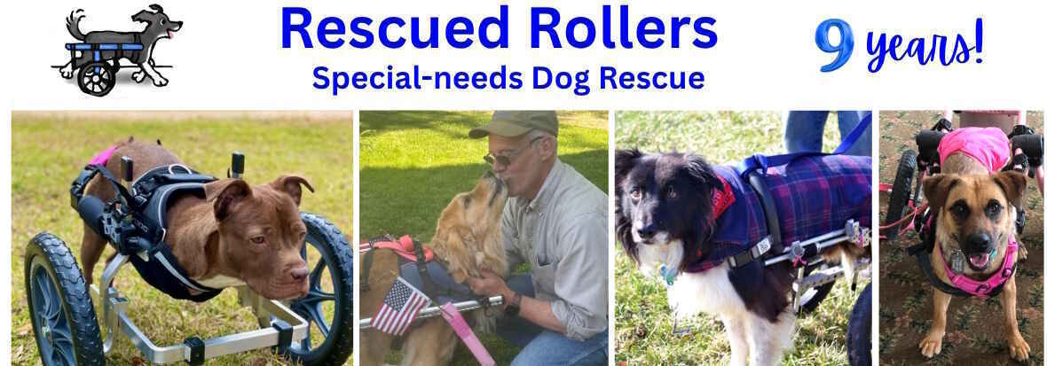 Let’s stand together and support Rescued Rollers. image