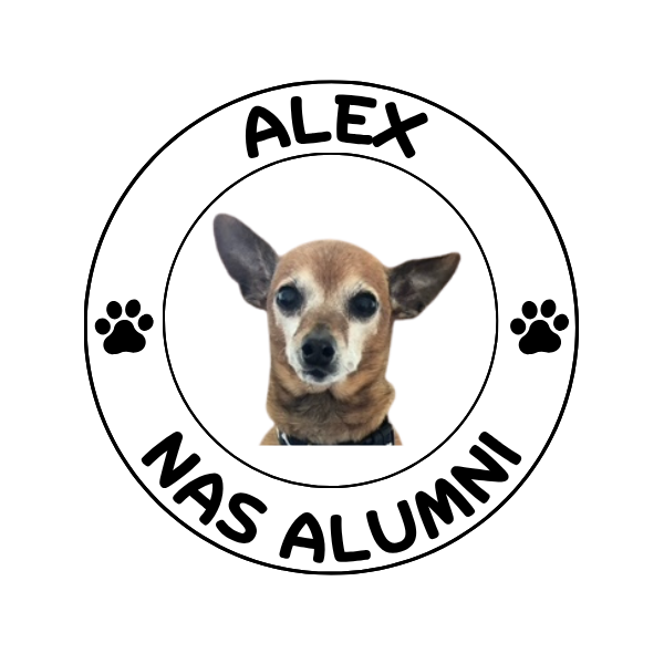 We can help provide food, shelter and medical treatment for the animals! image