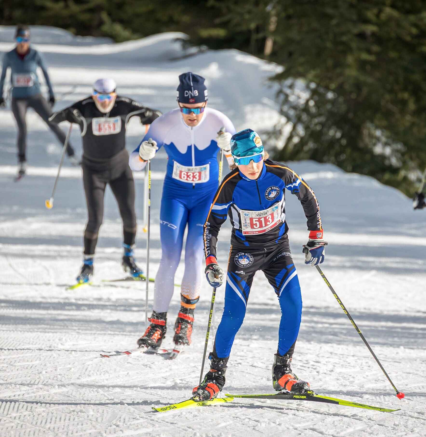 I am helping to fundraise for the National Nordic Foundation's (NNF) annual campaign.  image
