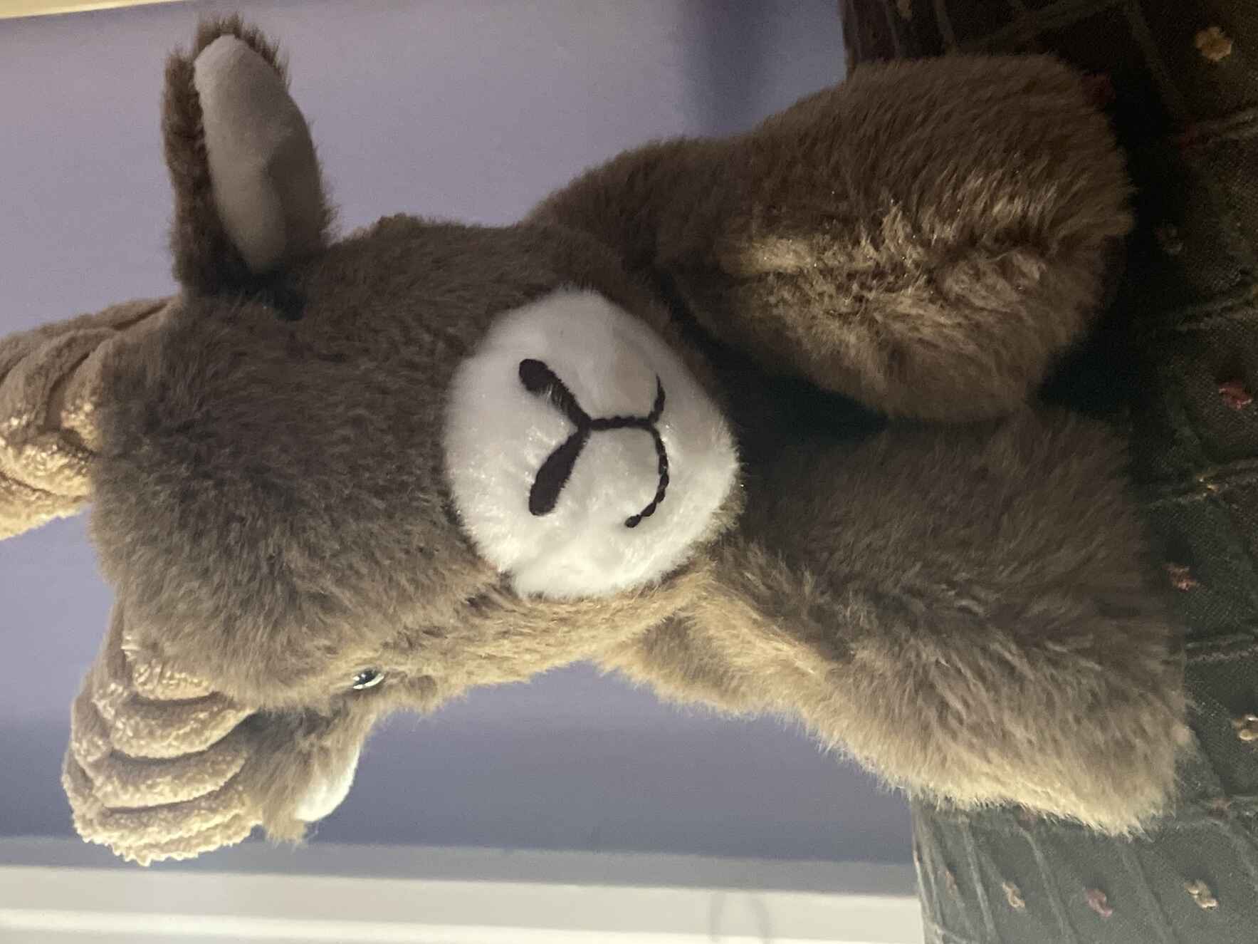 Red Barn Publishing supporting those with neurological conditions  image