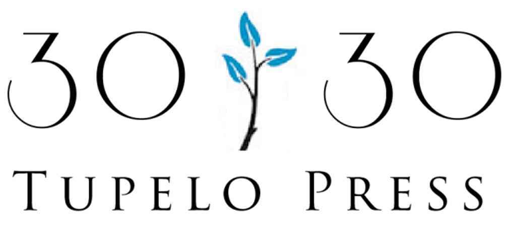 We can make sure that independent, non-profit presses keep literary voices diverse! image