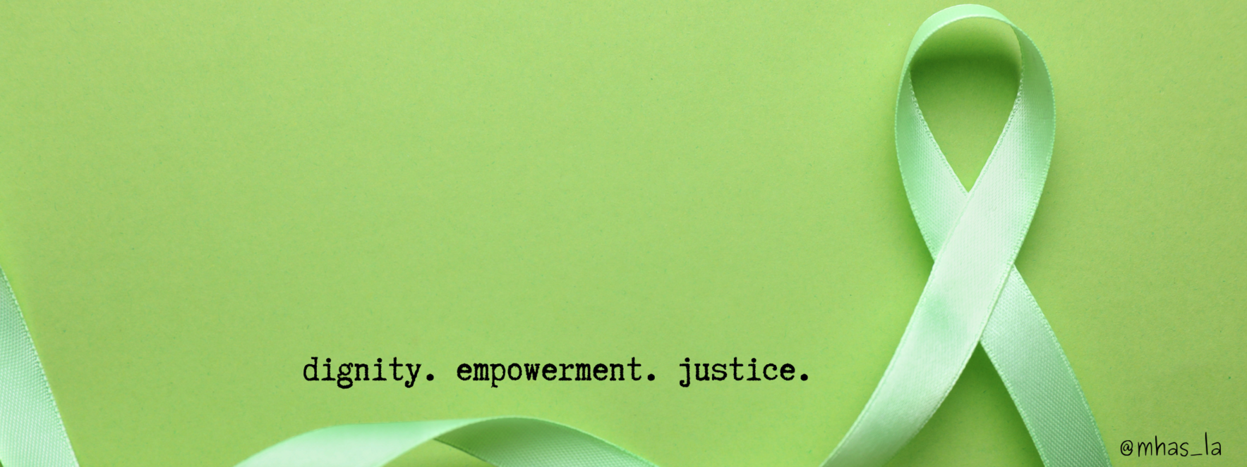 Help MHAS provide free legal services to low-income folks with mental health disabilities image