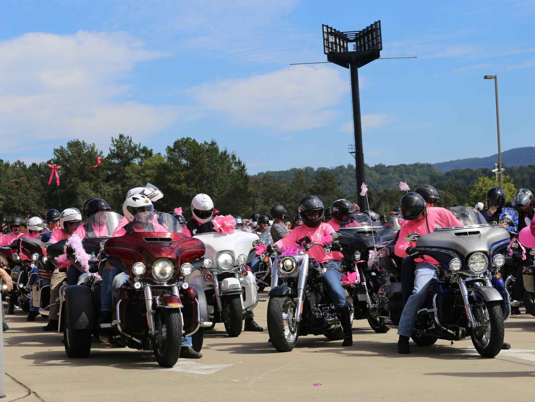 Rev Your Engines for Breast Cancer Research  image