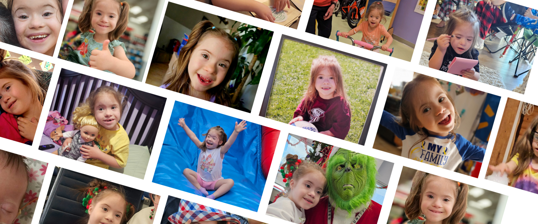 Jody and Abby's DSDN fundraiser image