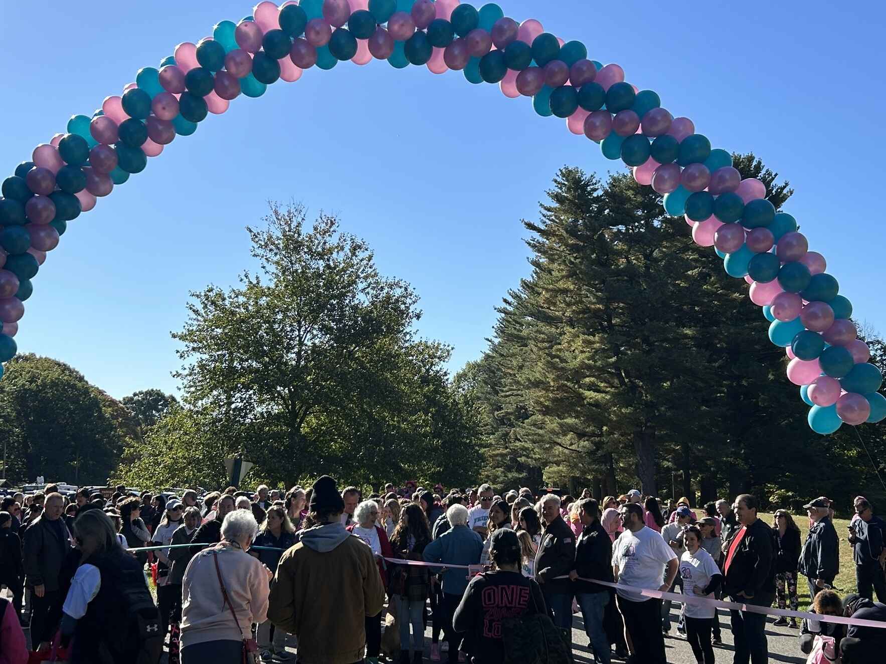 Help Support Connection continue to offer our free support services to those impacted by breast, ovarian or other gynecological cancers. image