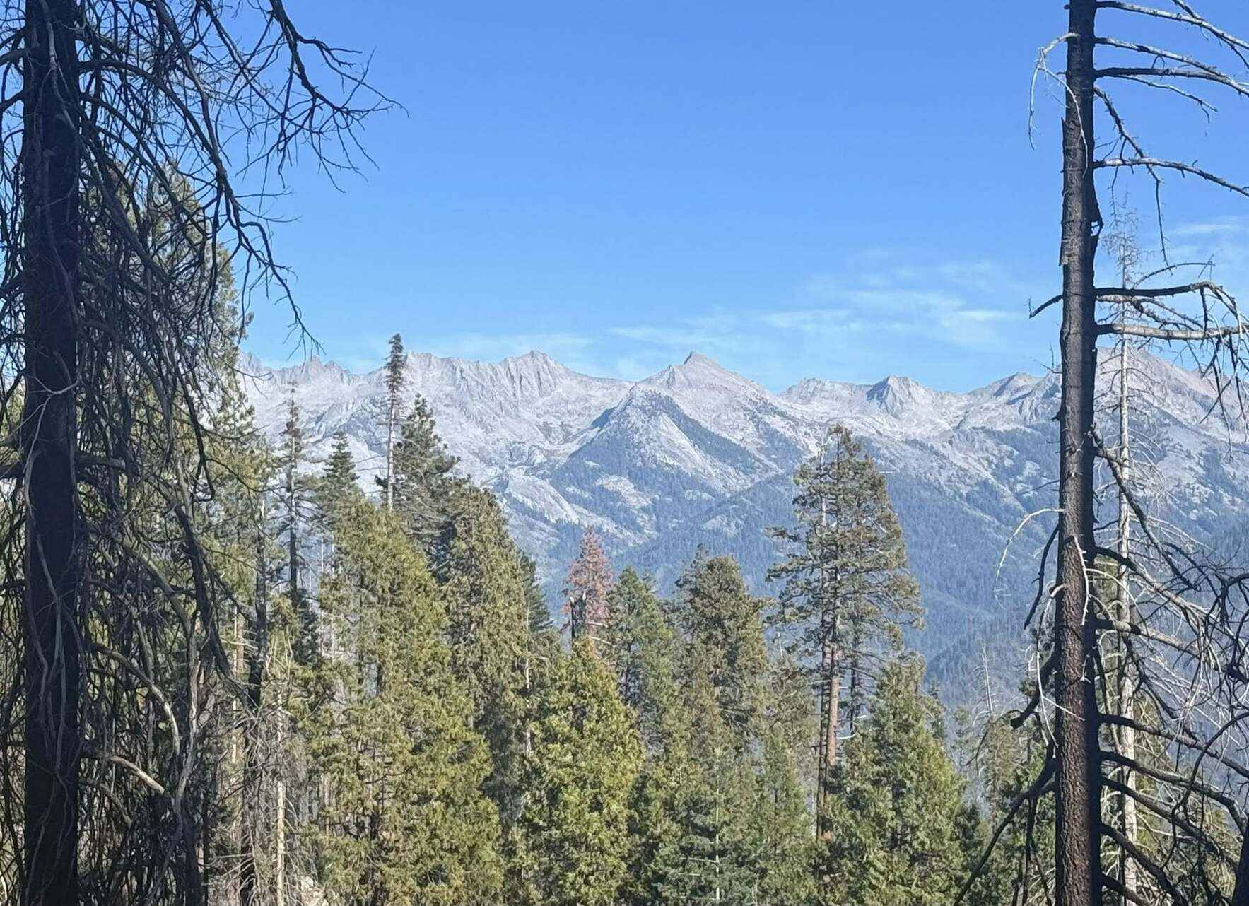 Support the words that change worlds with Tupelo Press image