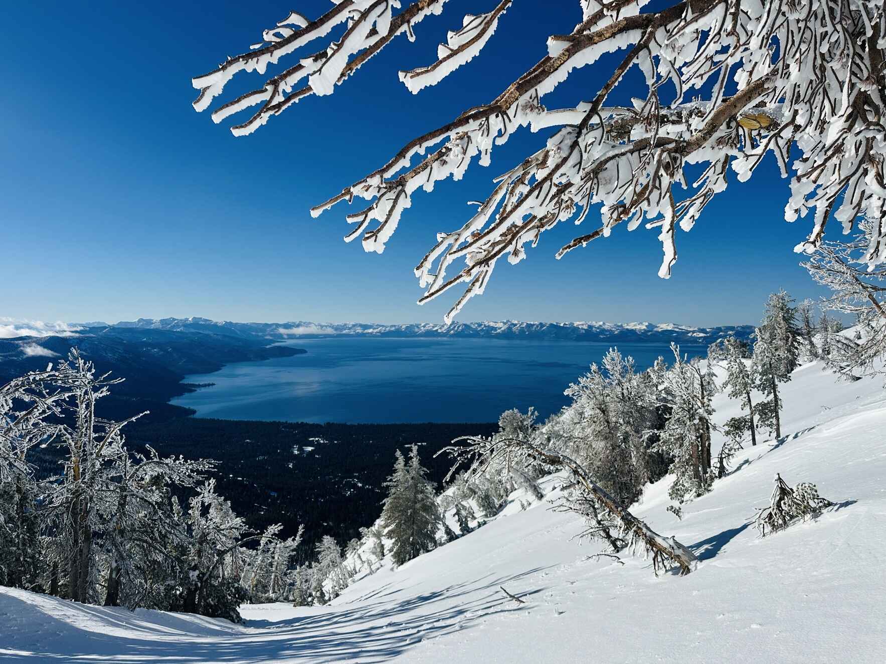 Give Where You Live image