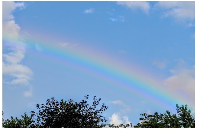 Help me chase the rainbows and fill the pot with gold! image