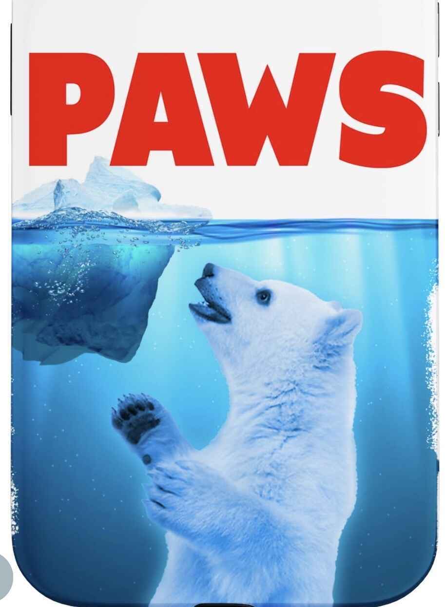 We are taking the PLUNGE to save animals  image