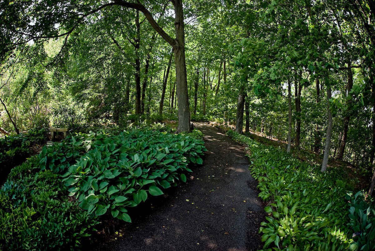 Your gift offers powerful stress management and leadership training programs to high-trauma youth image