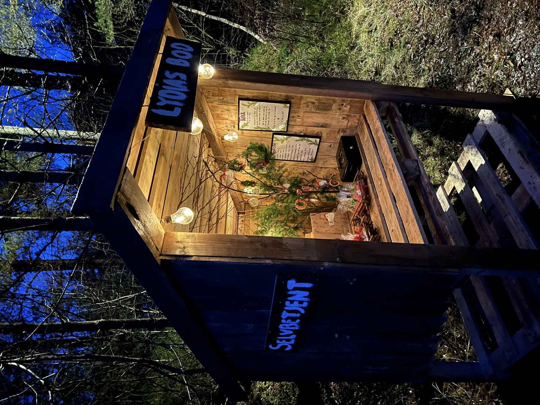 Continuing Lydia’s Stand – Supporting ROS1 Research image