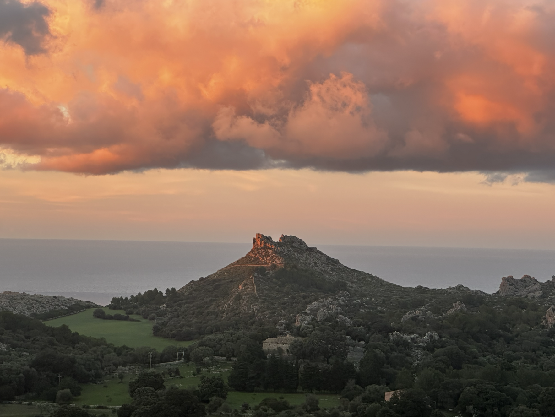 Living in a way that is conducive to life will help us all image