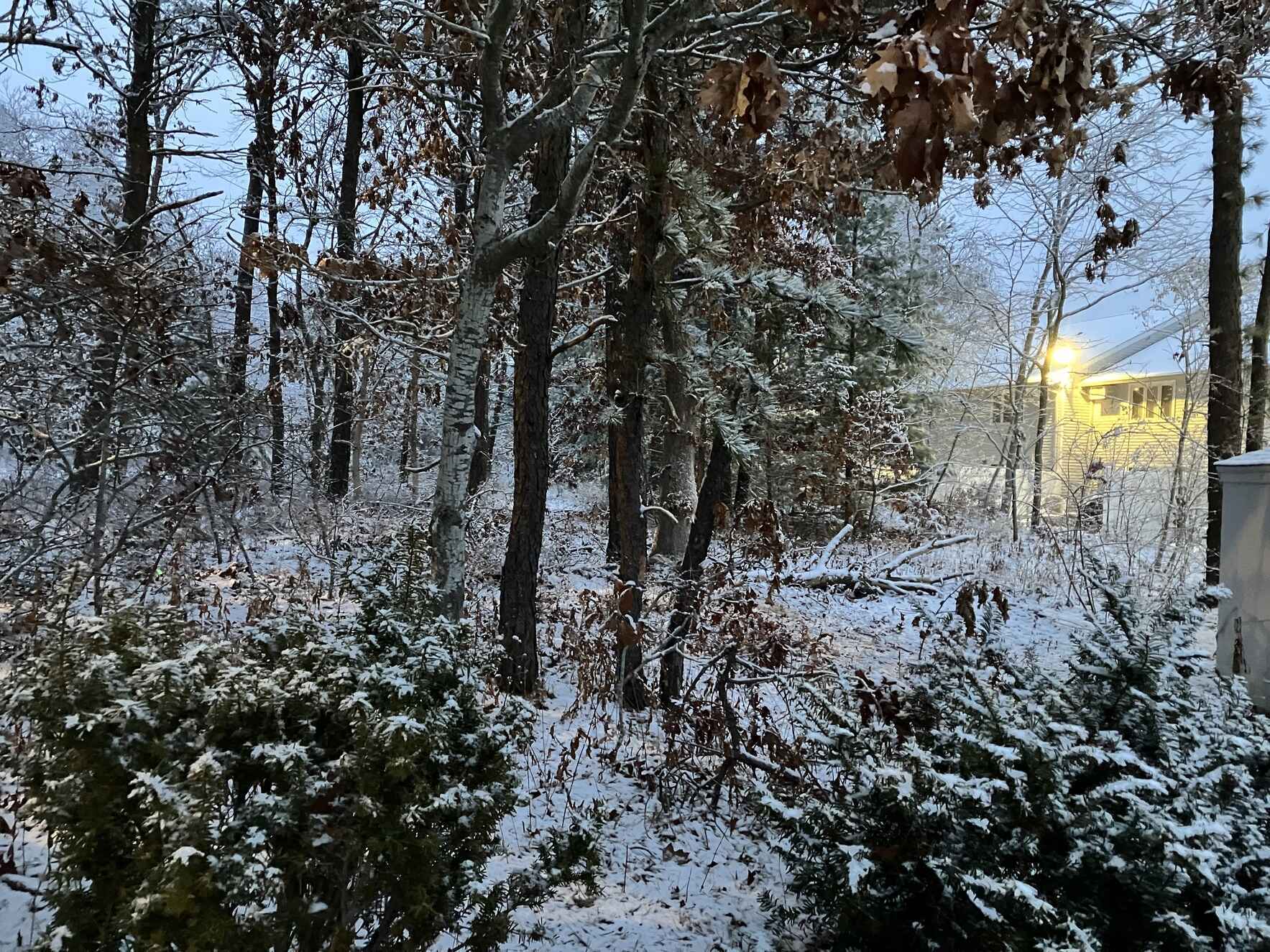 Help a wonderful independent nonprofit press keep literary voices diverse. image