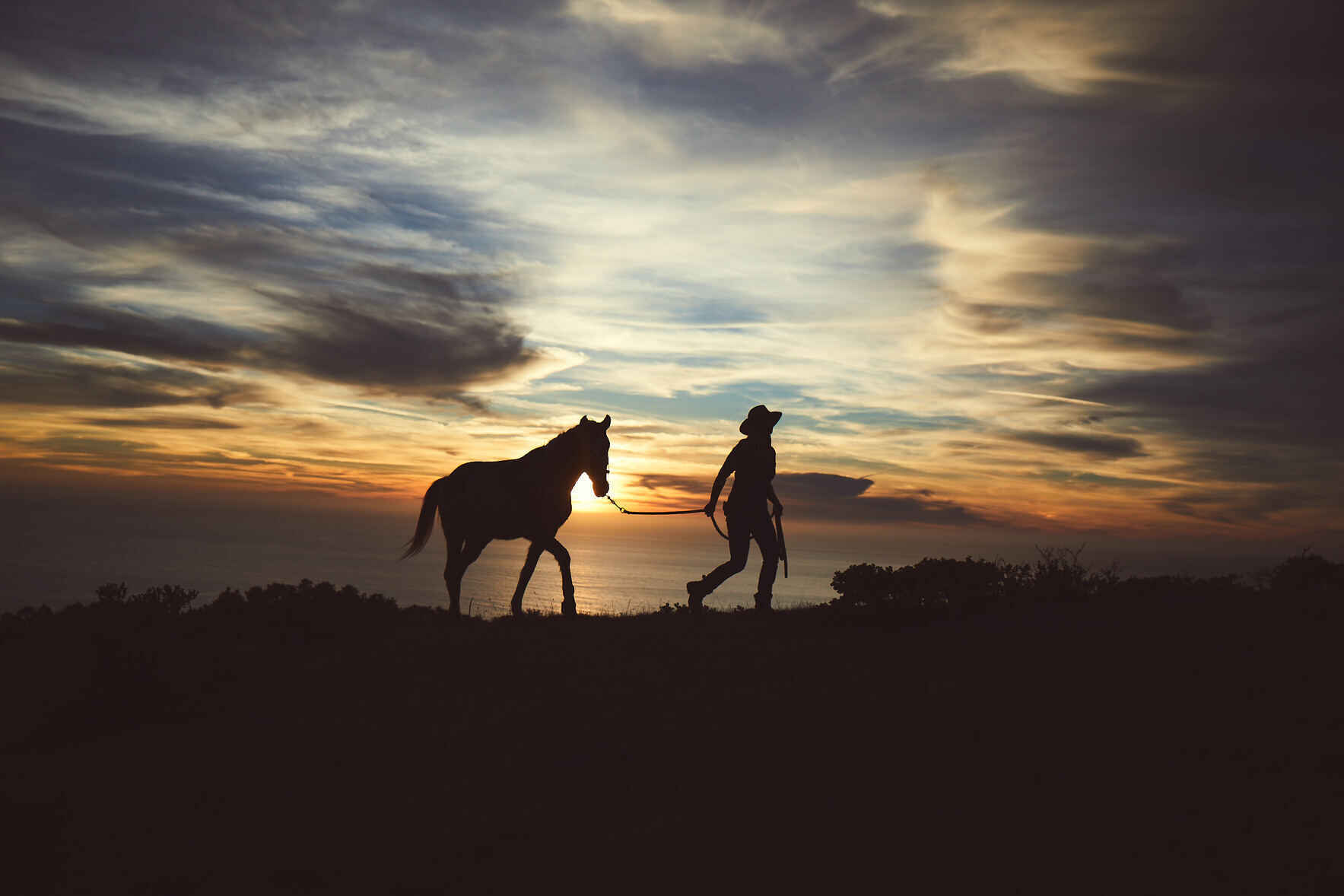 Ride in Solidarity for Grasslands and Pastoralists image
