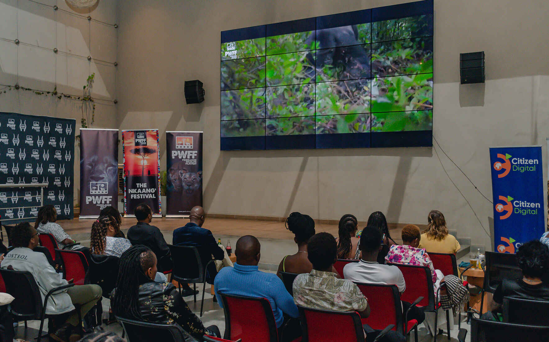 Africa's Wildlife Stories Deserve African Voices image