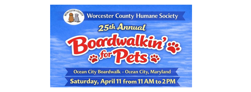  Boardwalkin' for Pets! Please help! image