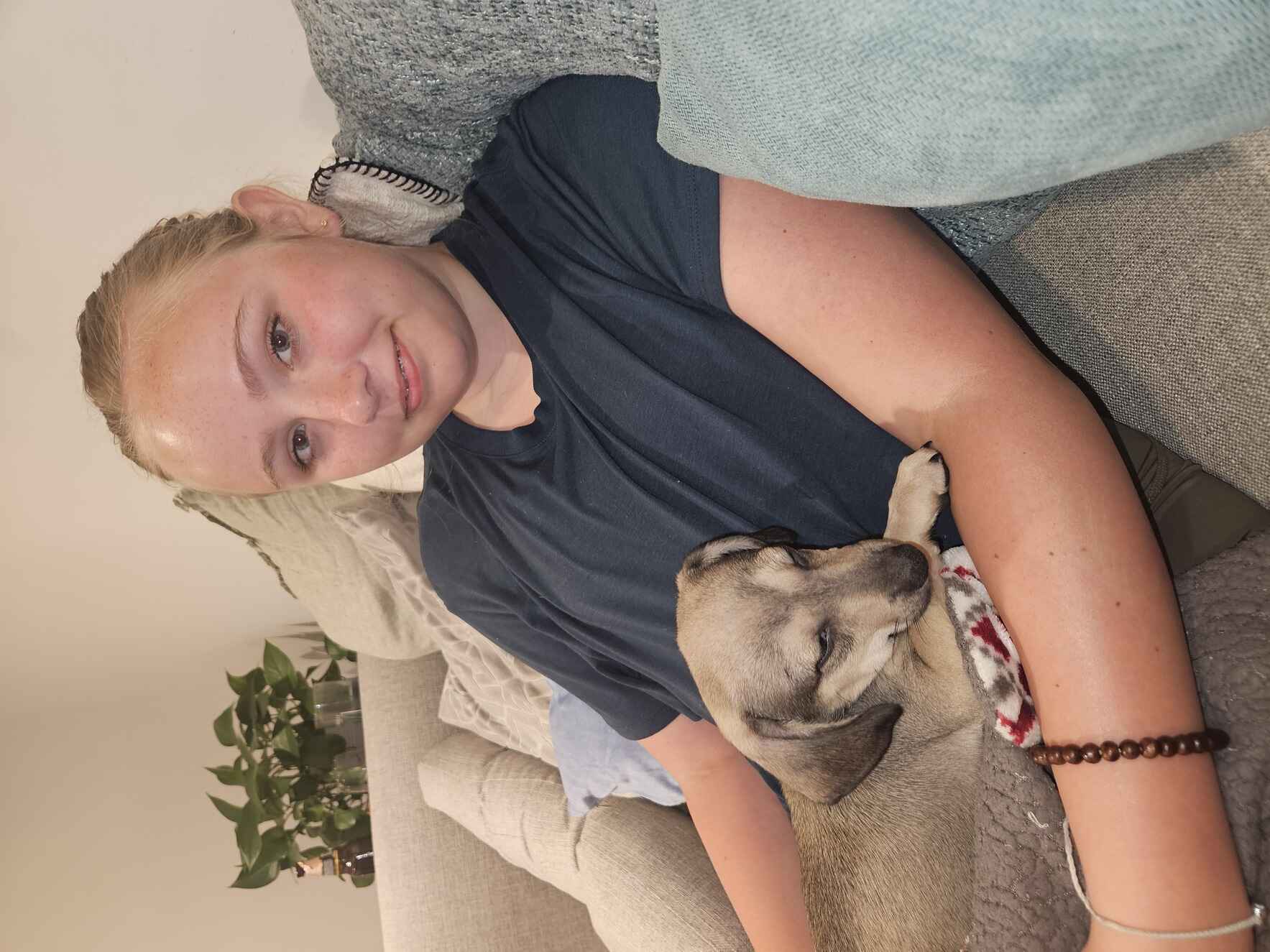 Hi, my name is Addison Wheeler and I am raising money for the Talbot Humane Society image