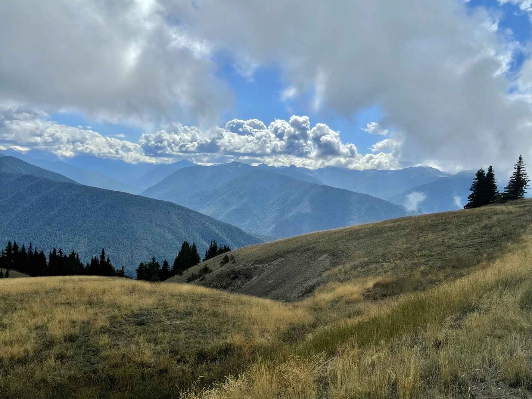 Help  Independent non-profit presses keep literary voices diverse! image