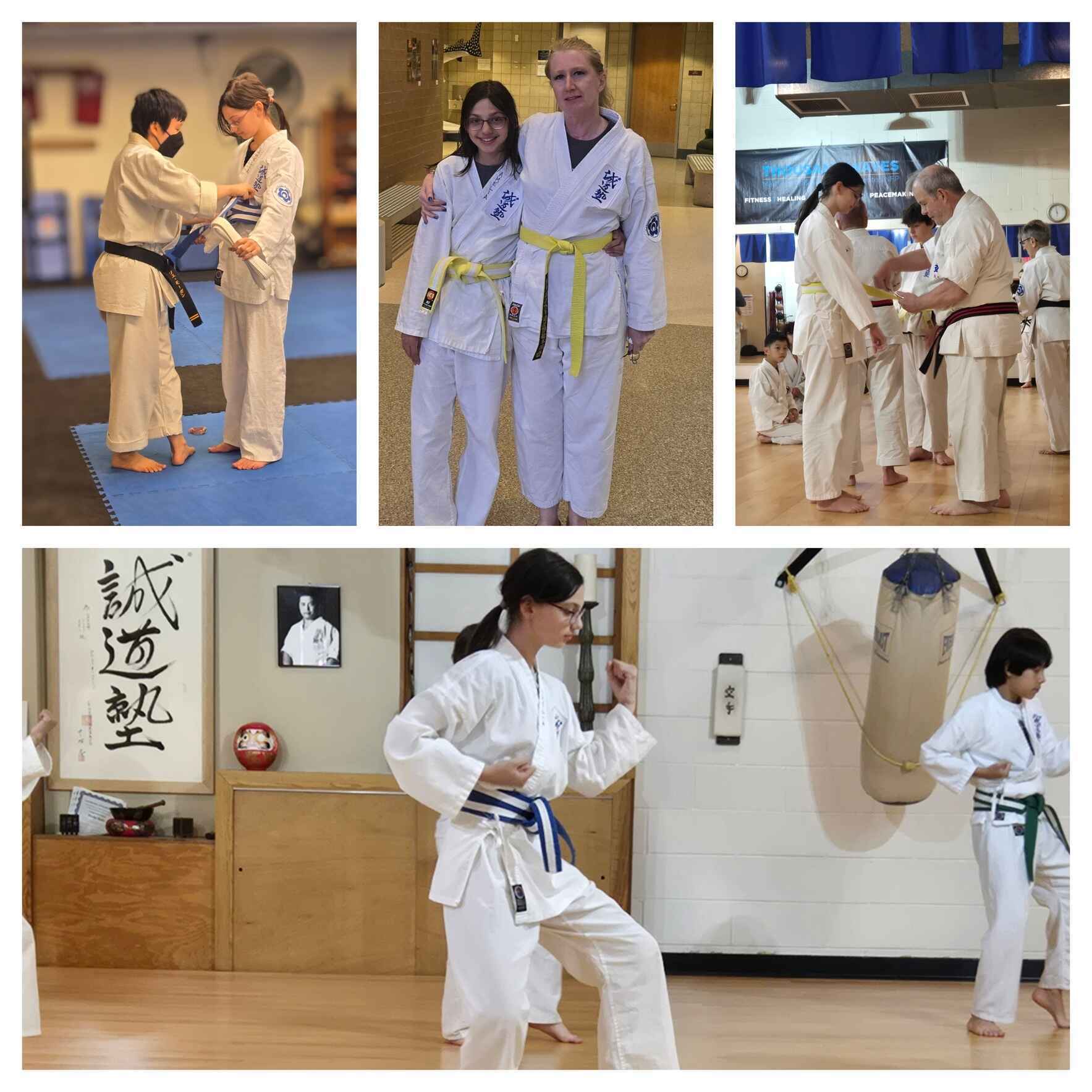 Support Thousand Waves' Scholarship, Adapted Seido Karate, and Empowerment Self-Defense programs! image