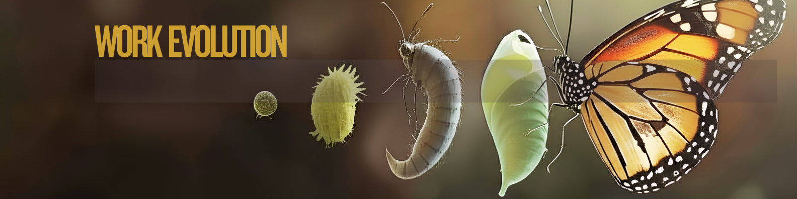 What if jobs are evolving, rather than being erased? image