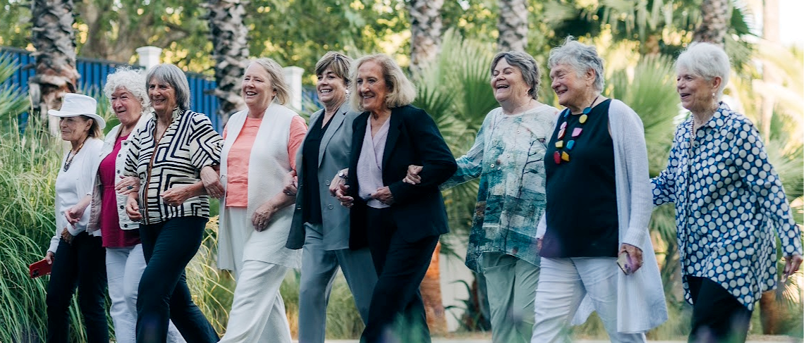 DOLS: Dirty Old Ladies of Software image