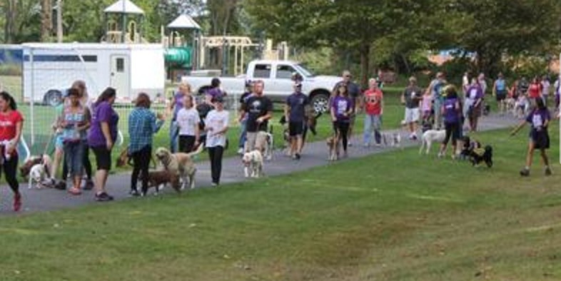 Join me & help make a difference-please give today image