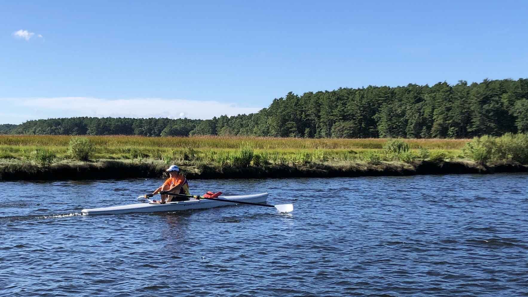 Help preserve the spectacular natural habitat that is the North River image