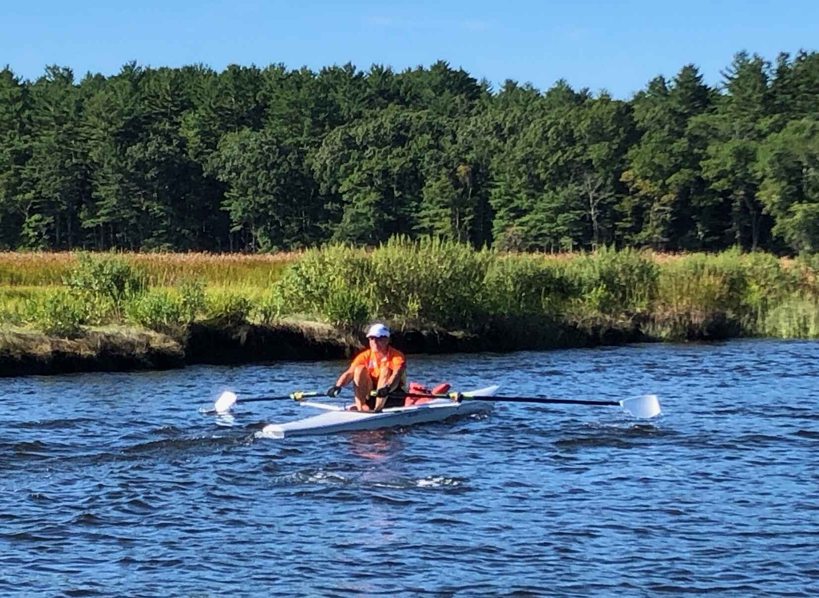Help preserve the spectacular natural habitat that is the North River image