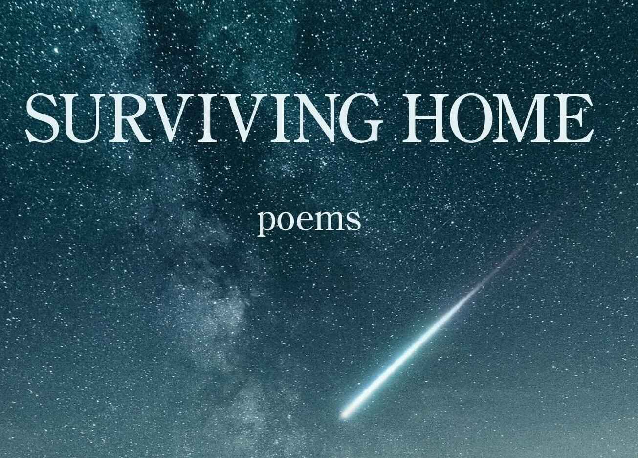 Please  help Independent non-profit presses keep literary voices diverse! image
