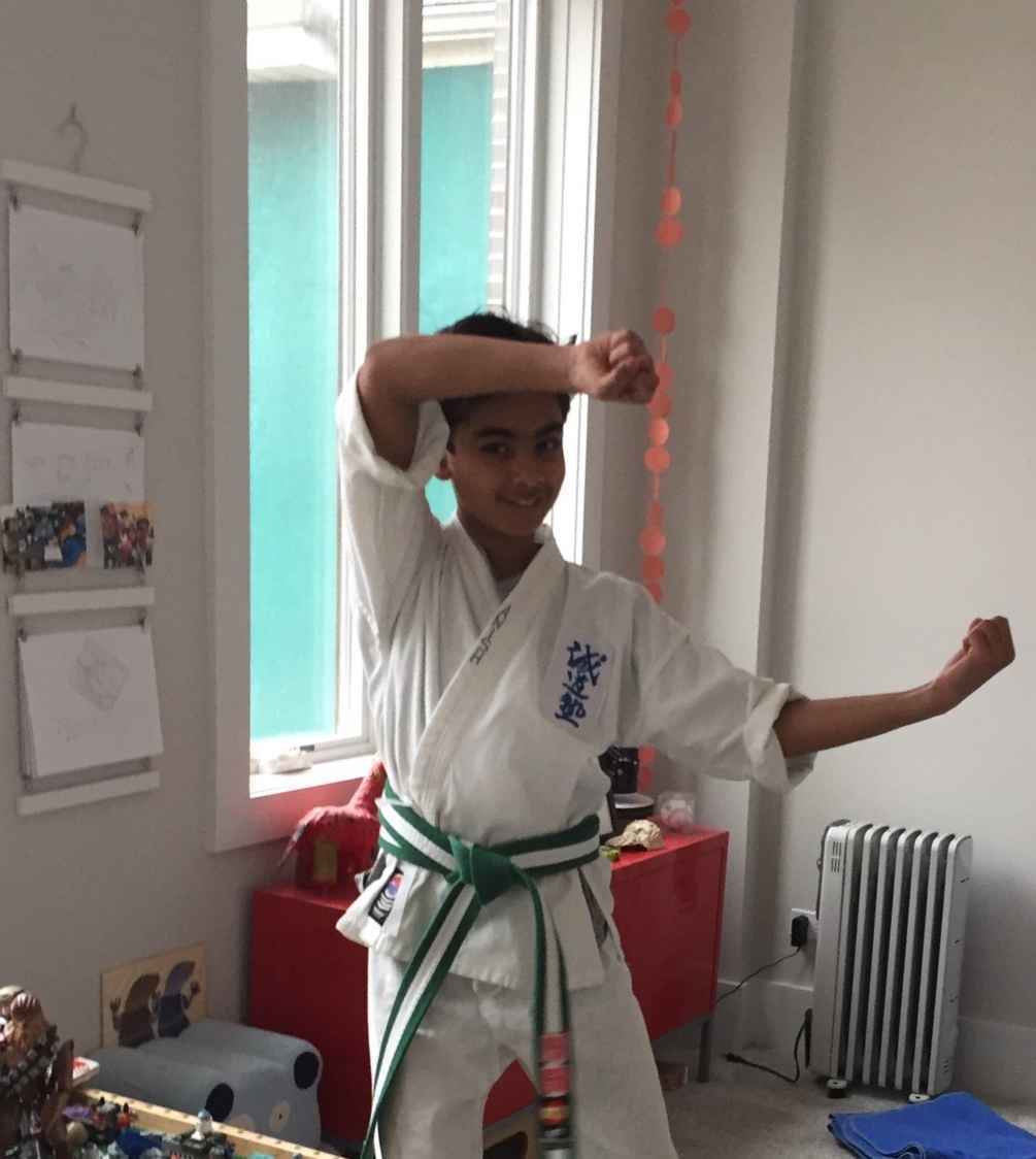 Offer karate education to people of all walks of life image