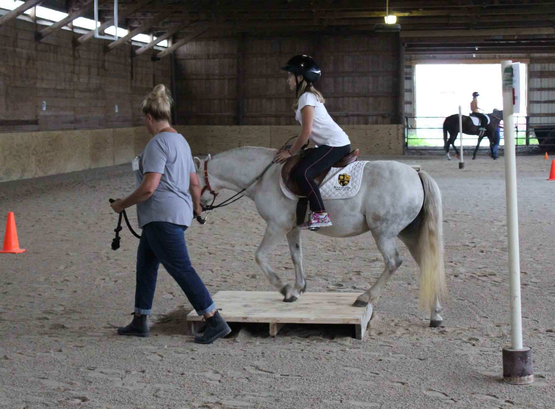 We can provide an equine therapy class to four middle school girls that is proven to have a positive impact on personal growth and honor the memory of Charlotte image