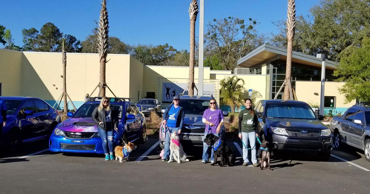 JACKSONVILLE HUMANE SOCIETY NFSG