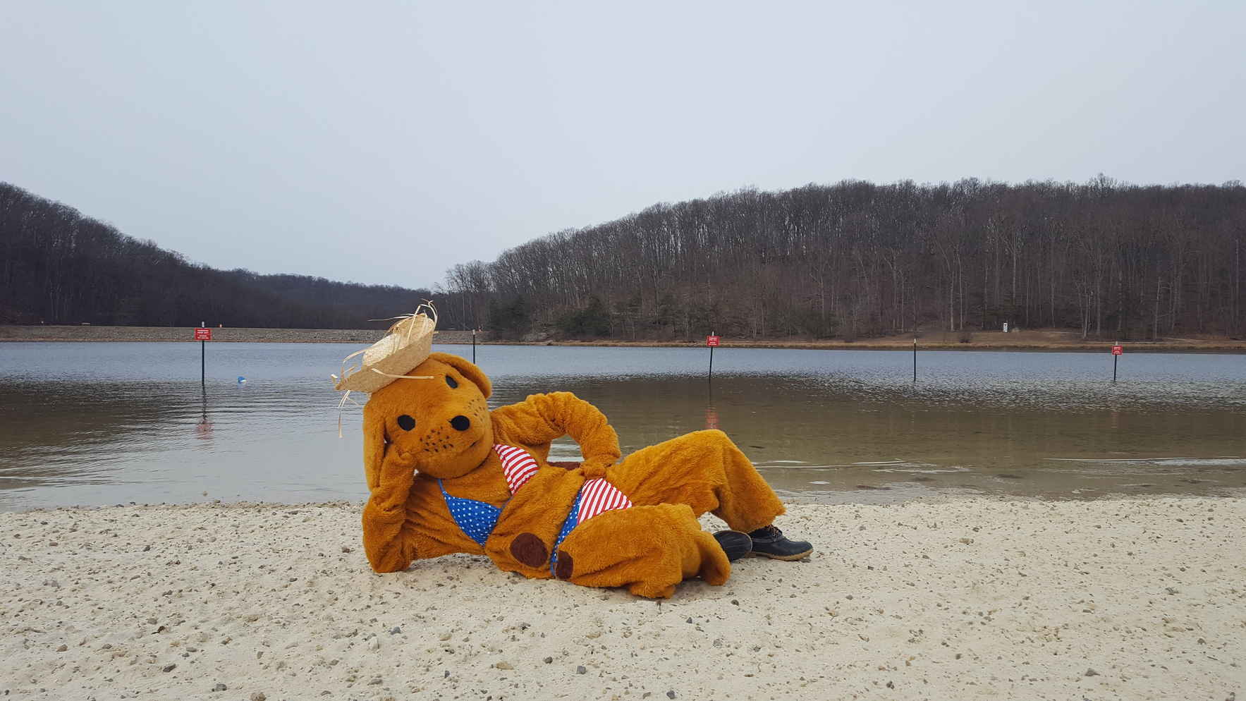 With your help, we can save lives! image