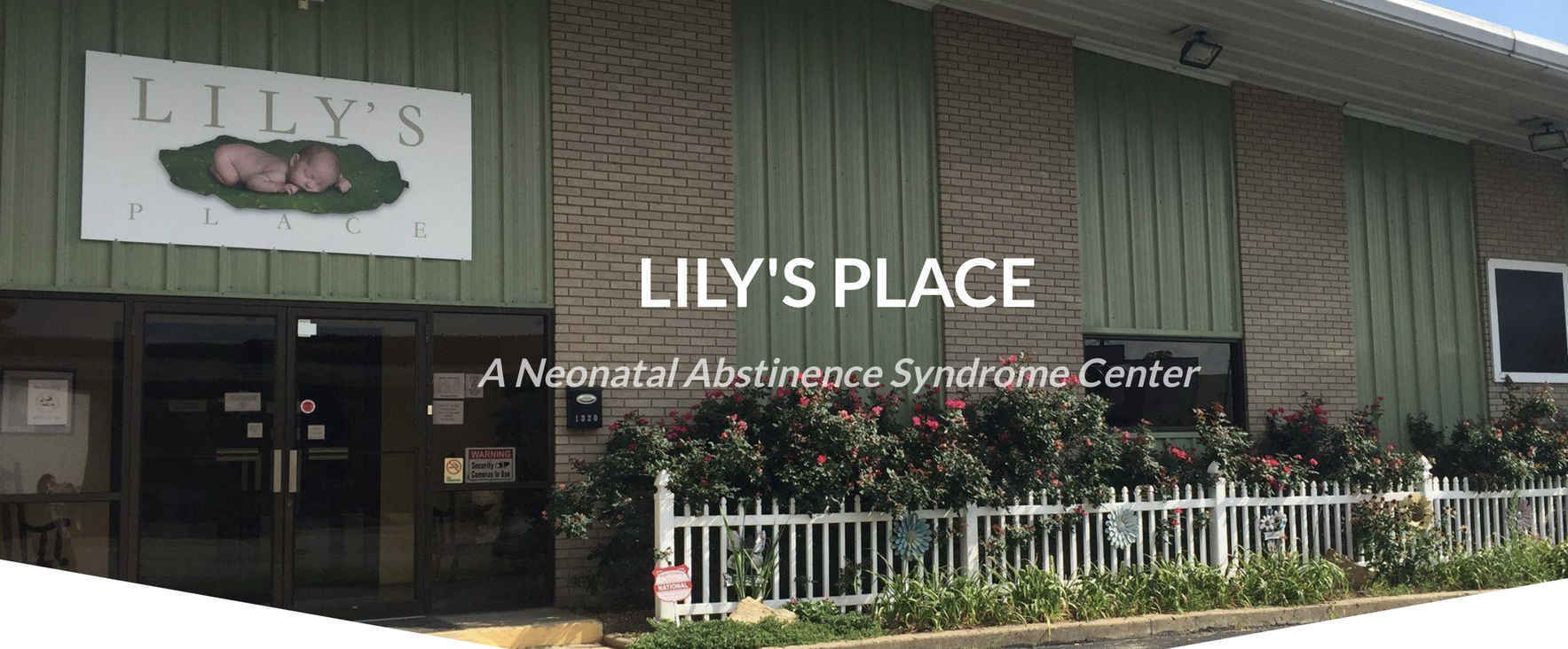 Join the Lily's Place Birthday Box Challenge! image