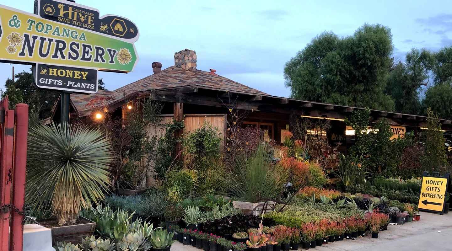  Bee the Change: Sustainable Works Fundraiser at The Valley Hive  image