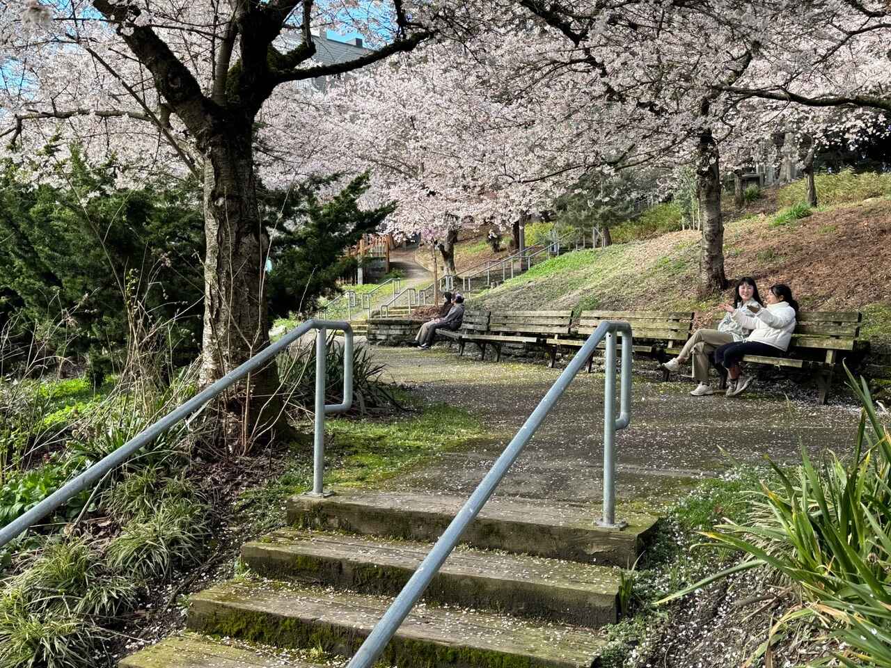 Jane's Walk: First Hill, Yesler Terrace and the International District image