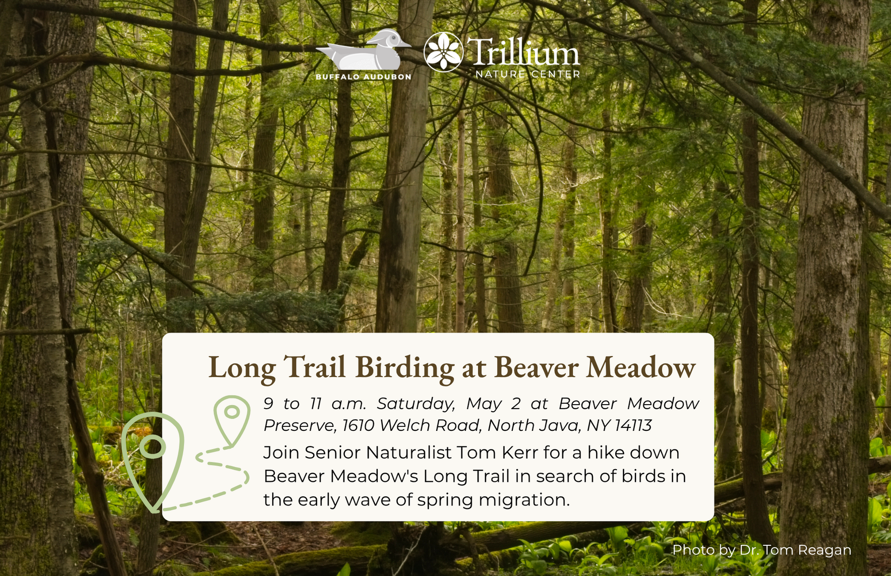 Long Trail Birding at Beaver Meadow image