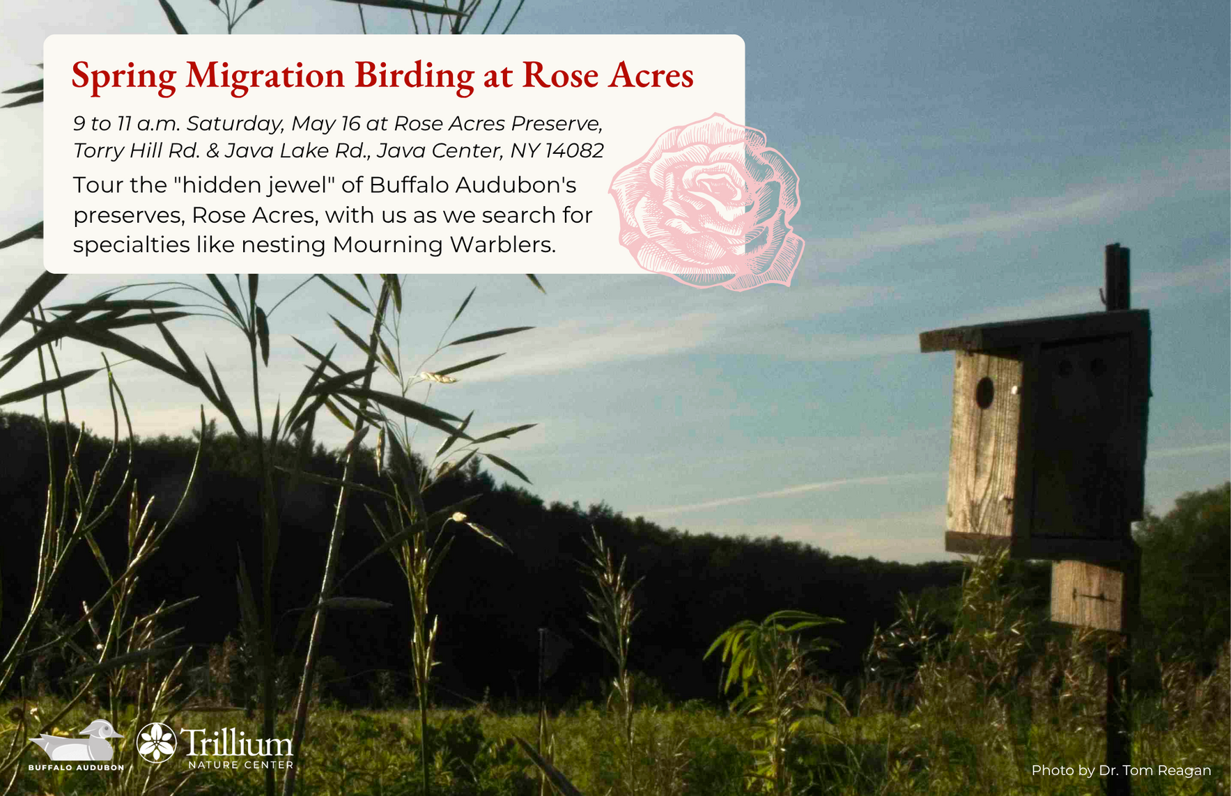 Spring Migration Birding at Rose Acres image