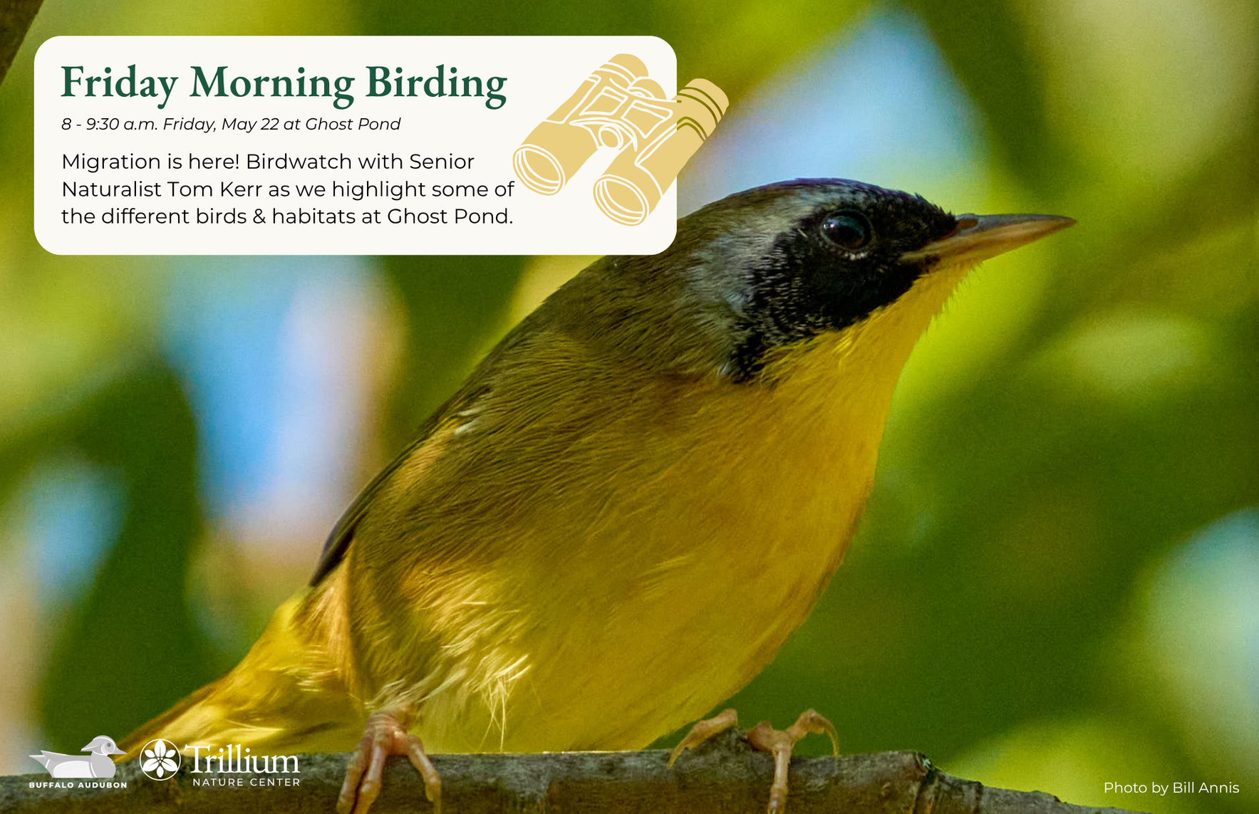 Friday Morning Birding - Ghost Pond - May 22nd image