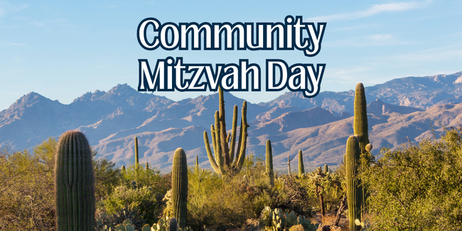 West - DMR - HVOS - Community Mitzvah Day - 2026 image