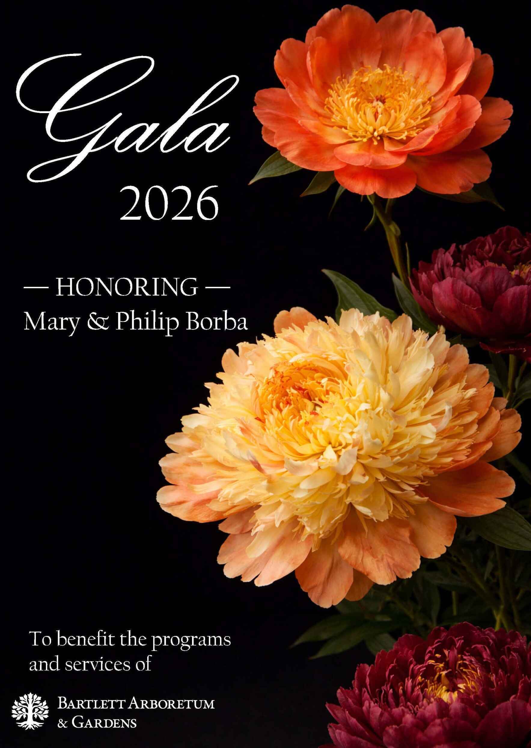 Gala 2026 image