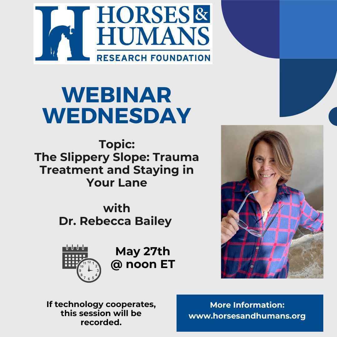 The Slippery Slope: Trauma Treatment and Staying in Your Lane image