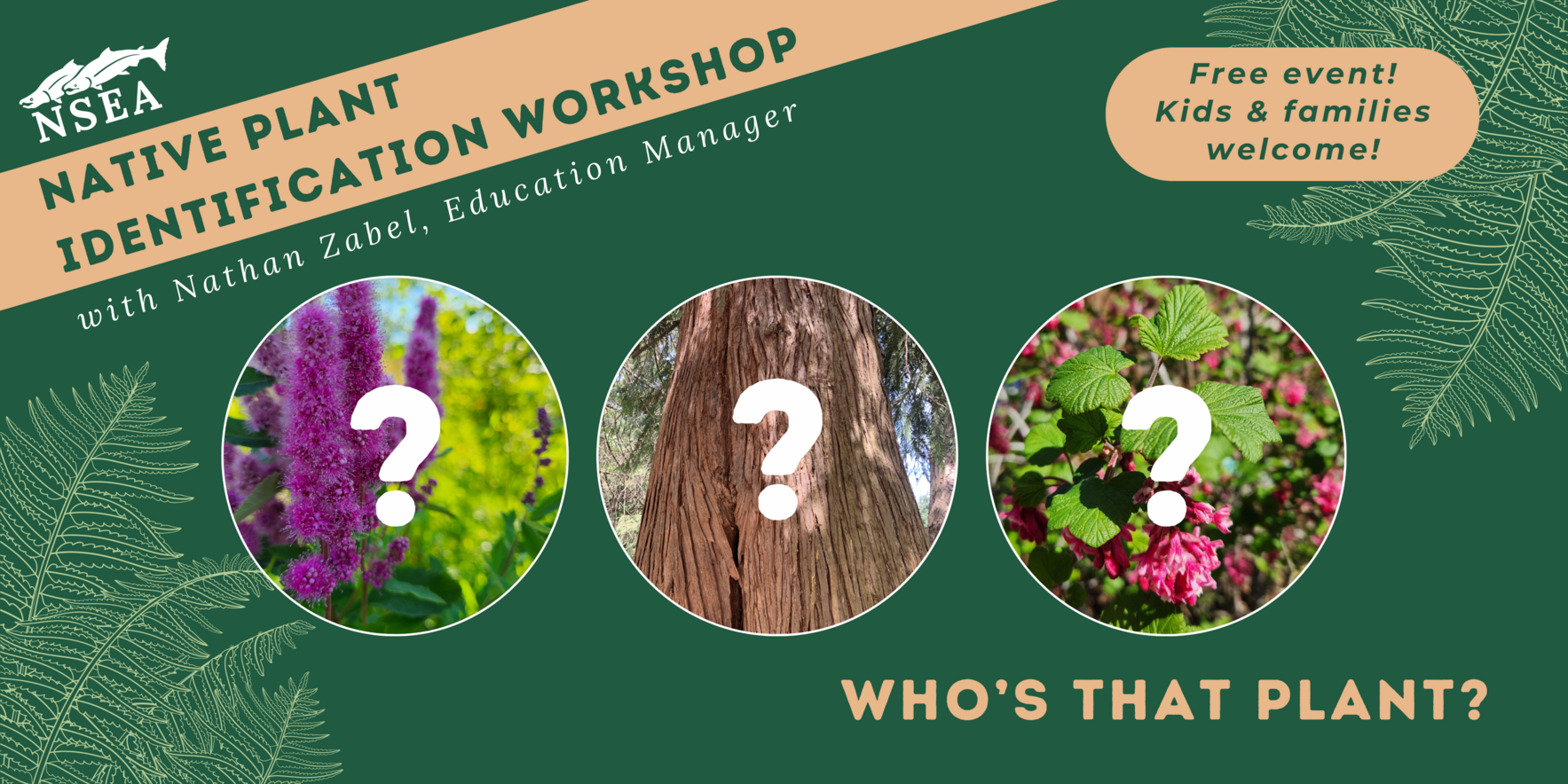 Native Plant Identification Workshop image