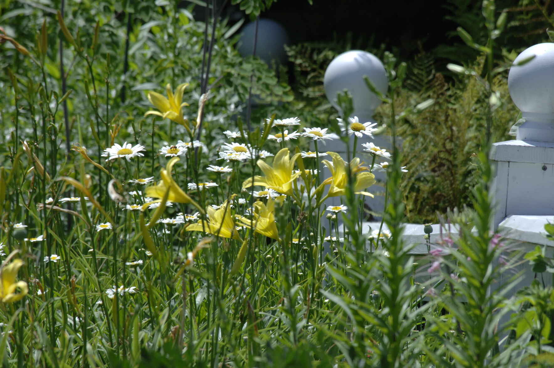 June 13, 2026: Annual Garden Party image