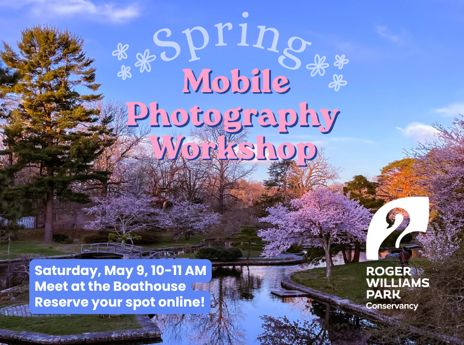 Spring Mobile Photography Workshop image