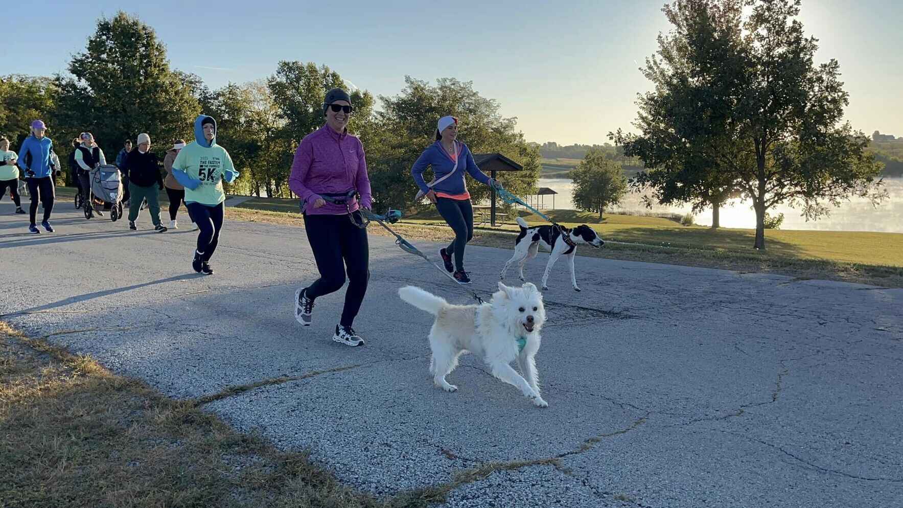 2026 Fast and the Furriest (4th Annual) - Virtual offered! image